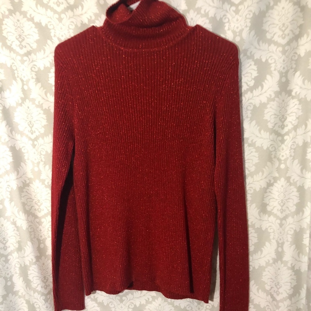 Bice Turtle Neck Sweater - Picture 5 of 8